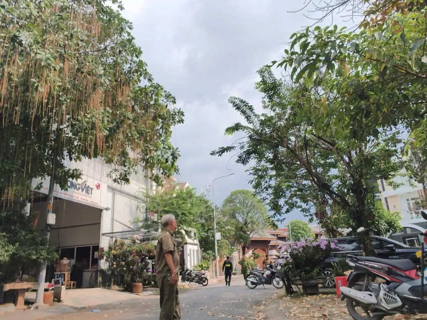 Công an khám xét biệt thự của chủ thẩm mỹ viện Mailisa ở TP.HCM - 5