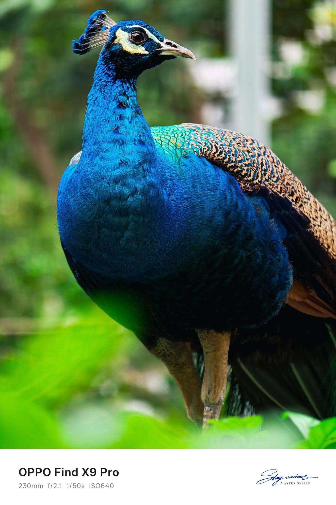 Đánh giá OPPO Find X9 Series: Đỉnh cao nhiếp ảnh, hiệu năng vượt trội - 5