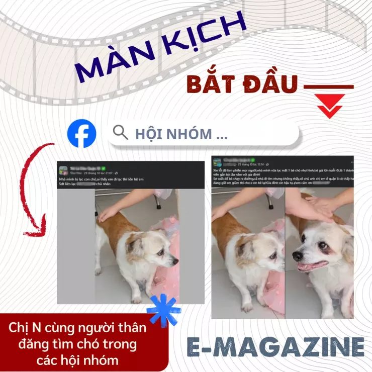 Thâm nhập đường dây 'mèo tặc' - Bài 4: Thủ đoạn lừa đảo chuộc chó, mèo - 2