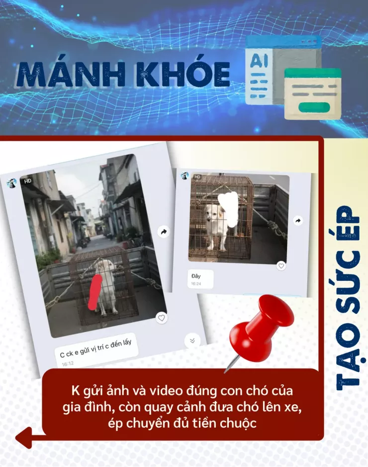 Thâm nhập đường dây 'mèo tặc' - Bài 4: Thủ đoạn lừa đảo chuộc chó, mèo - 3