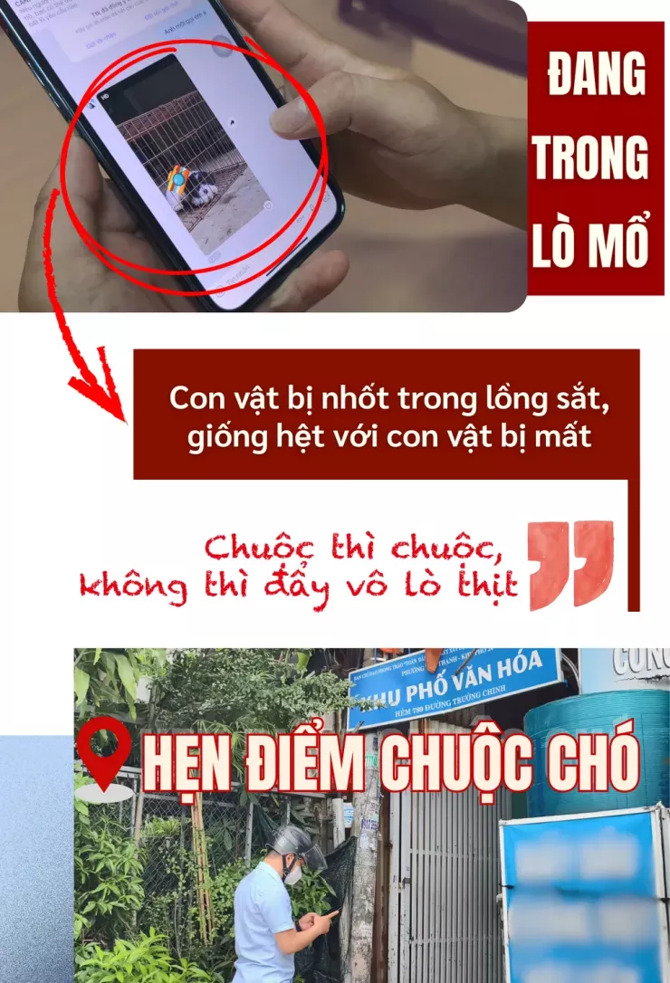 Thâm nhập đường dây 'mèo tặc' - Bài 4: Thủ đoạn lừa đảo chuộc chó, mèo - 10