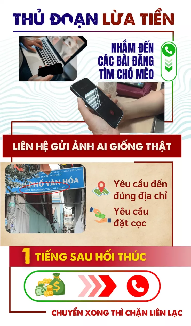 Thâm nhập đường dây 'mèo tặc' - Bài 4: Thủ đoạn lừa đảo chuộc chó, mèo - 13