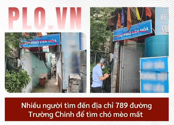 Thâm nhập đường dây 'mèo tặc' - Bài 4: Thủ đoạn lừa đảo chuộc chó, mèo - 15