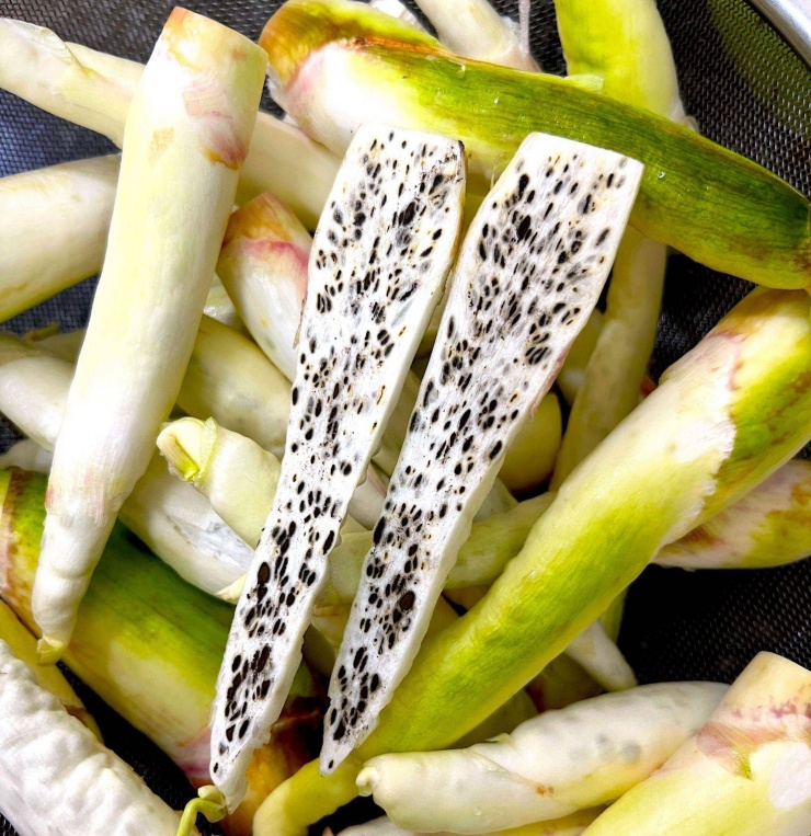 Loại củ được ví như 'sâm trong nước' xưa mọc dại không ai lấy nay là đặc sản: 10+ món ngon cho mâm cơm gia đình - 3