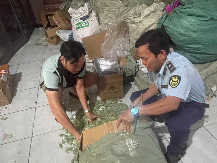 Cơ quan chức năng kiểm tra số lượng kẹo dẻo