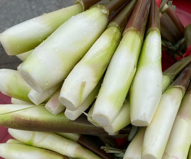 Loại củ được ví như 'sâm trong nước' xưa mọc dại không ai lấy nay là đặc sản: 10+ món ngon cho mâm cơm gia đình - 1