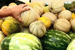 Tin tức sức khỏe - 7 Thực phẩm cực tốt cho người bàng quang yếu, tiểu đêm, tiểu són