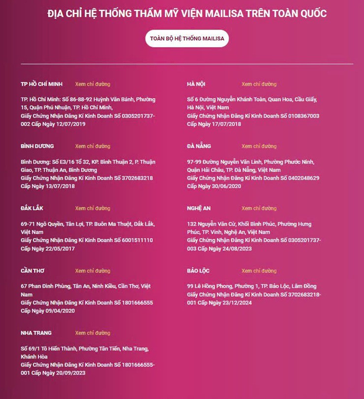 Trước khi dừng hoạt động, trang web của Mailisa chỉ còn giới thiệu 9 chi nhánh trên toàn quốc