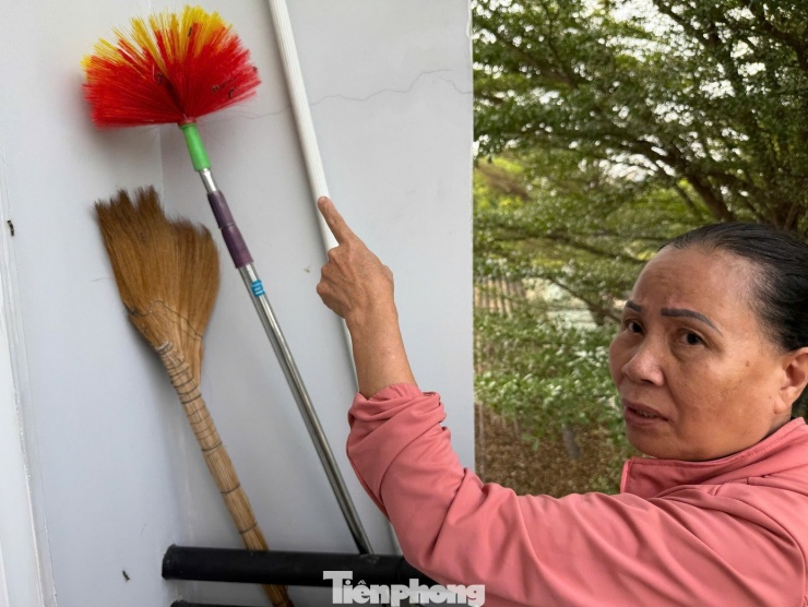 Người dân nơi đây lo lắng khi khi số lượng sâu rất nhiều và chưa xác định được liệu có gây ảnh hưởng đến sức khỏe của họ hay không.