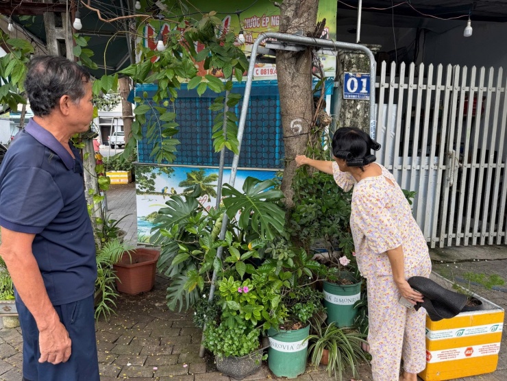 Theo lời người dân, sâu đã xuất hiện từ vài ngày nay, họ dùng chổi quét liên tục song vẫn không thể xử lý hết.