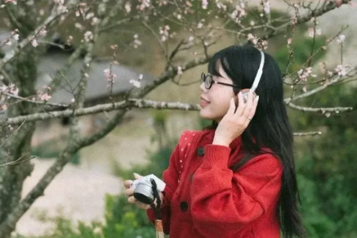 Hoa đào nở sớm nơi rẻo cao Tà Xùa, hút du khách checkin giữa núi rừng Tây Bắc