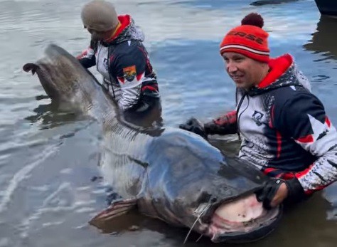 Hai cần thủ Ba Lan câu được cá trê Wels dài 2,92 mét tại hồ chứa Rybnik.