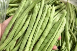 Ẩm thực - Loại rau vào mùa đông càng ngon, giúp ổn định đường huyết, thêm mẹo này khi chế biến ăn là ‘nghiền”