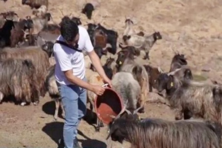 Nghề “hot”: Trả trăm triệu/tháng vẫn thiếu người làm