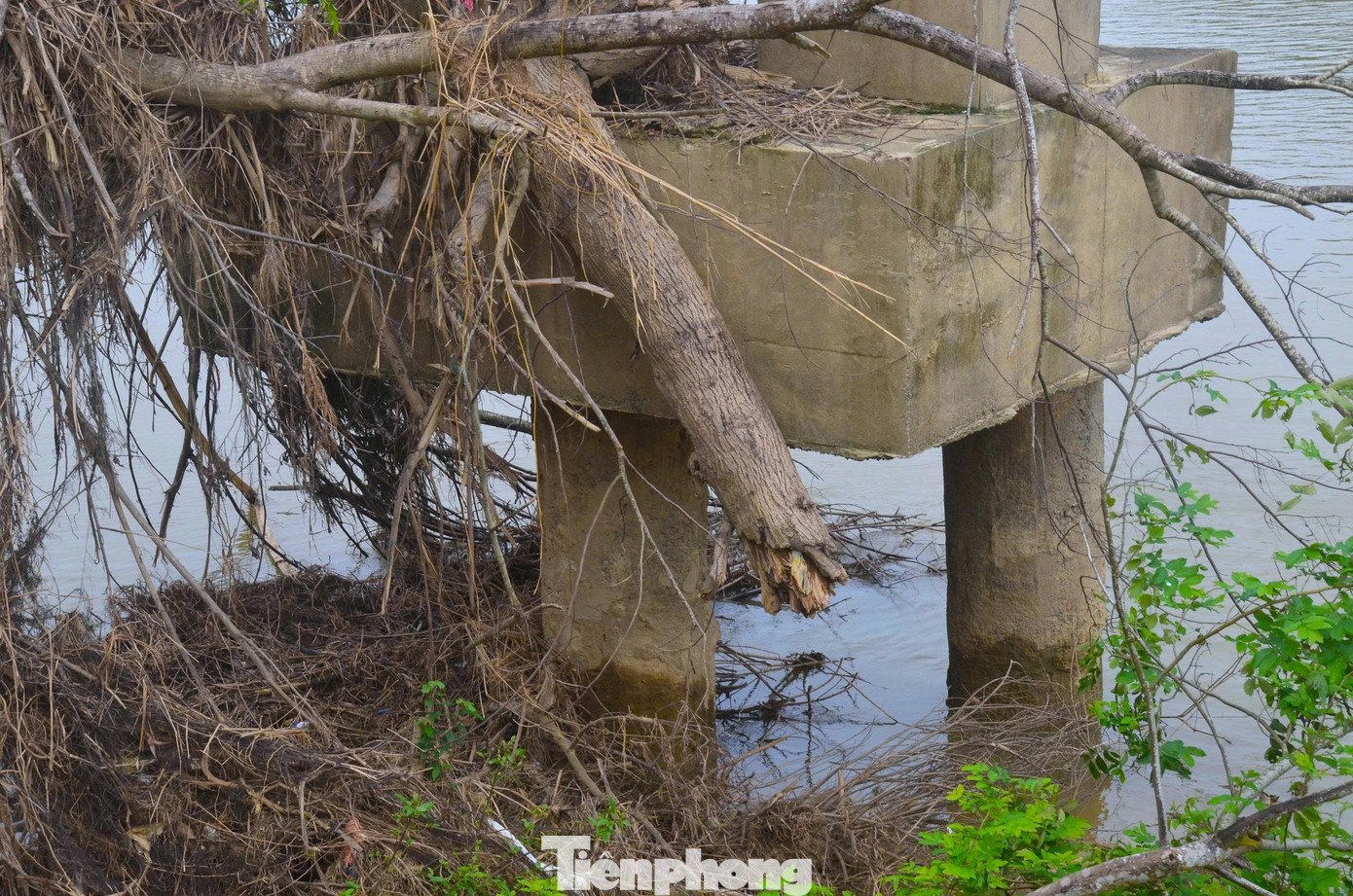 Trụ cầu treo bị khoét hàm ếch, rọ đá lộ thiên - 9