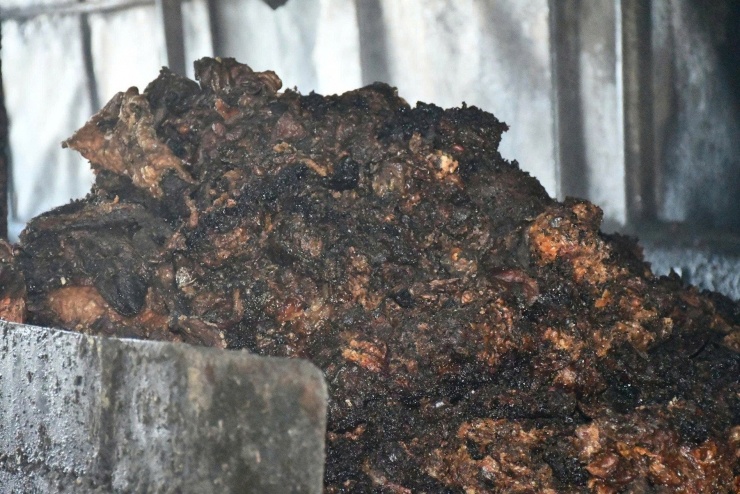 Ảnh: Công an Đà Nẵng