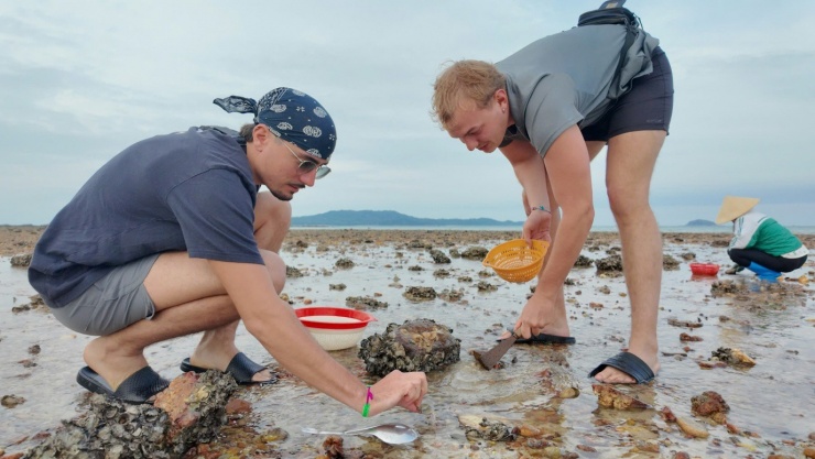 Khách Tây đi du lịch xuống ruộng gặt lúa, kéo cày cùng nông dân trên đảo Cô Tô - 10
