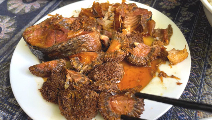 Cá kho gáo có vị bùi, hơi chua, chát nhẹ của quả gáo, kết hợp với thịt cá săn chắc, đậm đà