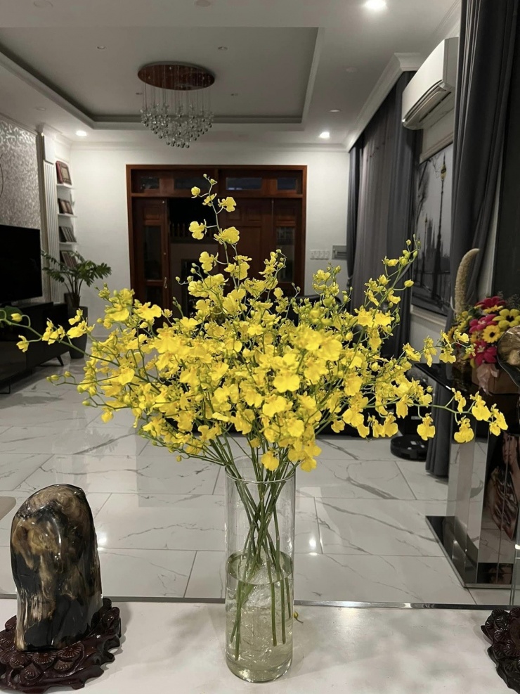 Từng òa khóc khi chia sẻ về biến cố bệnh tật, 'Nữ hoàng dân ca' Việt hiện sống ra sao? - 8