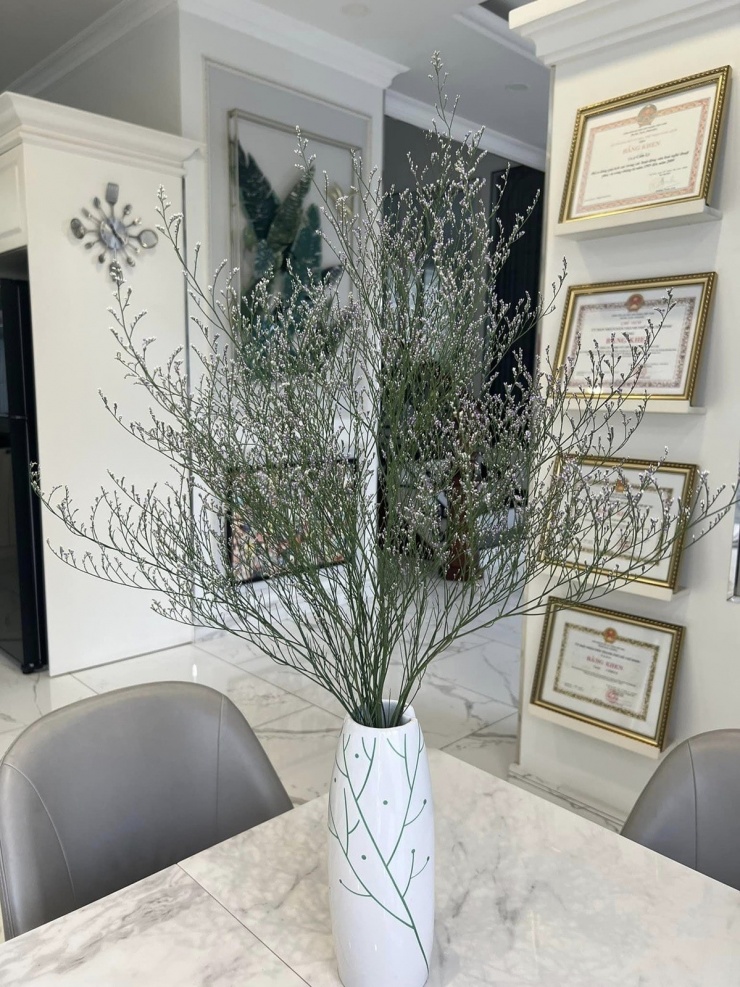 Từng òa khóc khi chia sẻ về biến cố bệnh tật, 'Nữ hoàng dân ca' Việt hiện sống ra sao? - 10