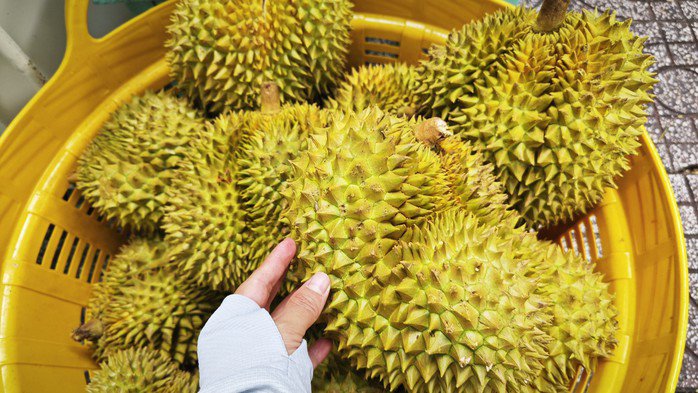 Đường dây làm giả bị lật tẩy, ngành sầu riêng mong tháo "nút thắt" về kiểm nghiệm - 1