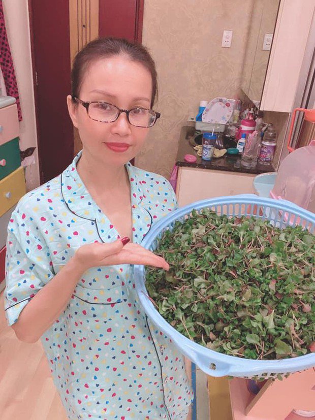 Mặc dù vườn trên sân thượng, nhưng có đầy đủ các loại rau như: cải ngọt, rau lang, càng cua, rau răm, rau muống, rau thơm, mồng tơi, diếp cá, tía tô, cải xà lách, bạc hà…