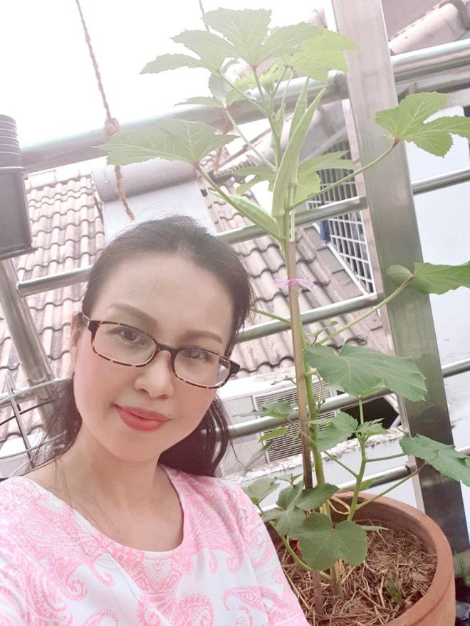 Vì công việc bận rộn nên nữ ca sĩ chăm bón vườn rau sạch, cây trái tại nhà những lúc rảnh rỗi. Có khi tối muộn, Cẩm Ly mới có thời gian thu hoạch thành quả trong vườn.