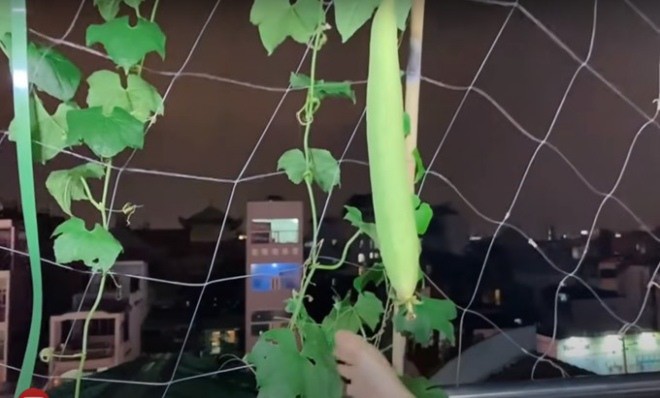 Từng òa khóc khi chia sẻ về biến cố bệnh tật, 'Nữ hoàng dân ca' Việt hiện sống ra sao? - 24