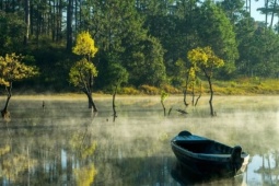 Du lịch - Cuộc săn ánh sáng ở Đà Lạt chinh phục tạp chí du lịch nổi tiếng thế giới