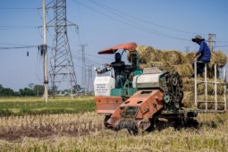 Từ rơm rạ thành ‘vàng’: Nông dân Ninh Bình kiếm trăm triệu mỗi mùa gặt