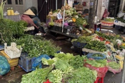 Rau xanh tăng chóng mặt ở chợ bán lẻ, nhiều bà nội trợ thở dài