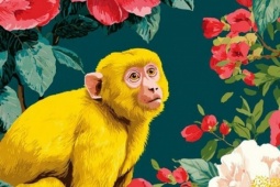 Những con giáp nữ cá tính, một mình làm nên sự nghiệp khiến đàn ông nể phục