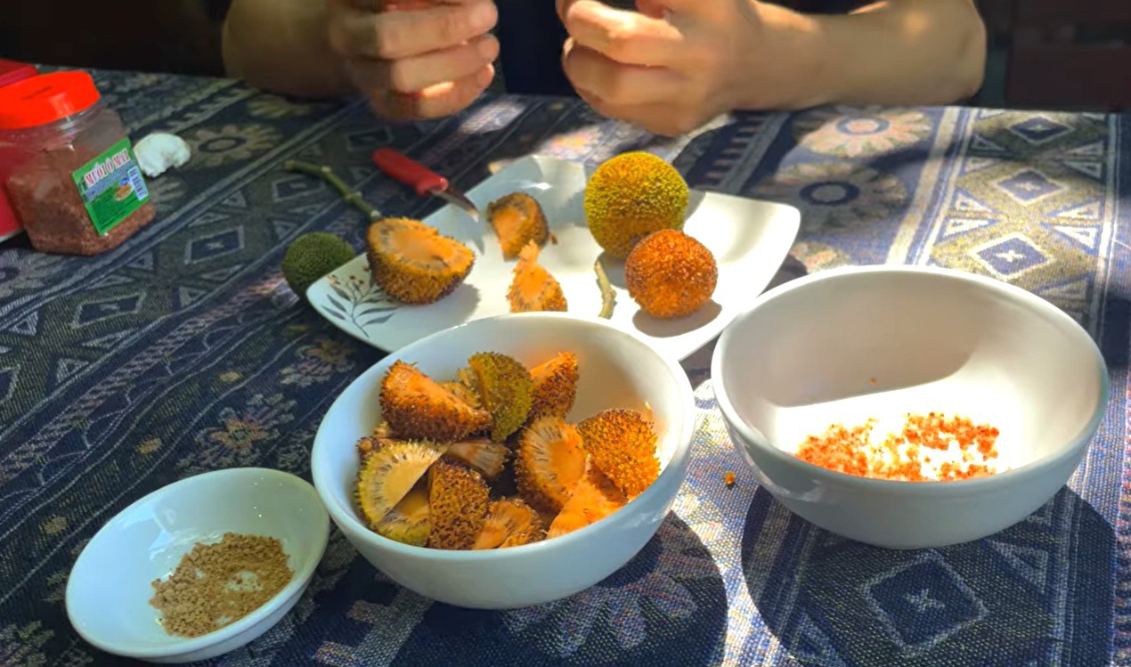 Gáo là loại quả đặc trưng ở Ninh Bình. Phần màu vàng bên ngoài là hoa gáo, khi hoa rụng sẽ hiện ra quả gáo bên trong