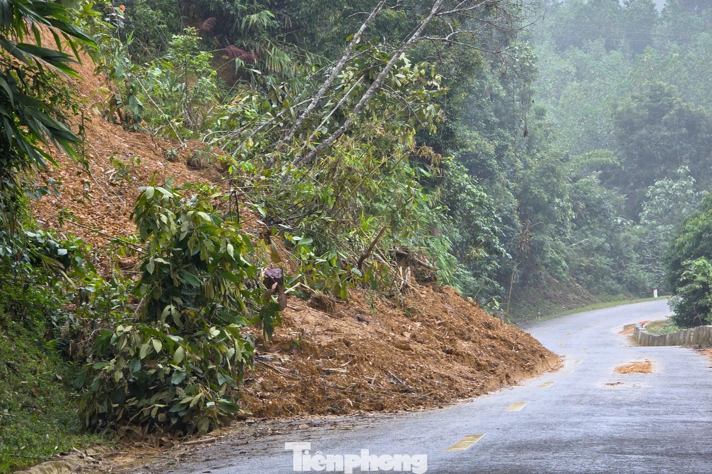 ‘Bẫy tử thần’ trên quốc lộ 48D - 9