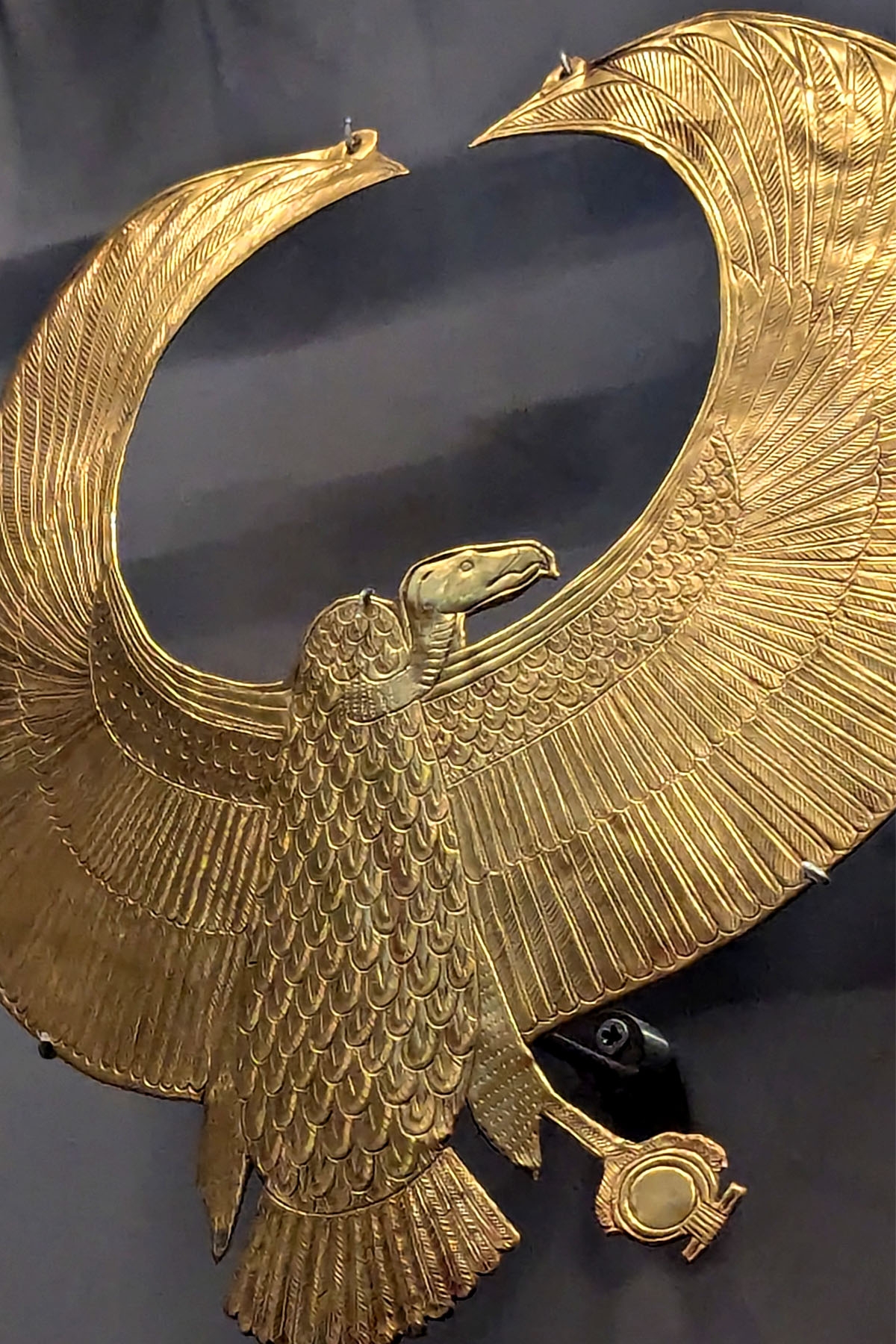 Quan khách ấn tượng với hình ảnh một chú kền kền từ Thung lũng các vị vua xuất hiện trong phòng trưng bày 8.