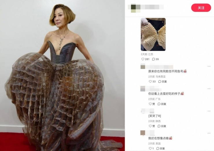 Cư dân mạng Trung Quốc chê cười váy của Dương Tử Quỳnh giống sách bò.