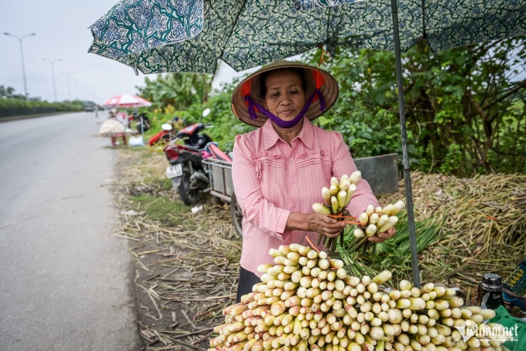 Đặc sản chỉ có một tháng ở Ninh Bình, cho thu nhập gấp 3-4 lần trồng lúa - 3