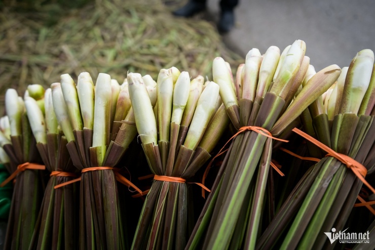 Những ngày này, đi khắp các chợ dân sinh hay dọc đường Lê Đức Thọ (phường Hồng Quang), không khó bắt gặp những quầy hàng bán củ niễng được kê gọn bên đường.