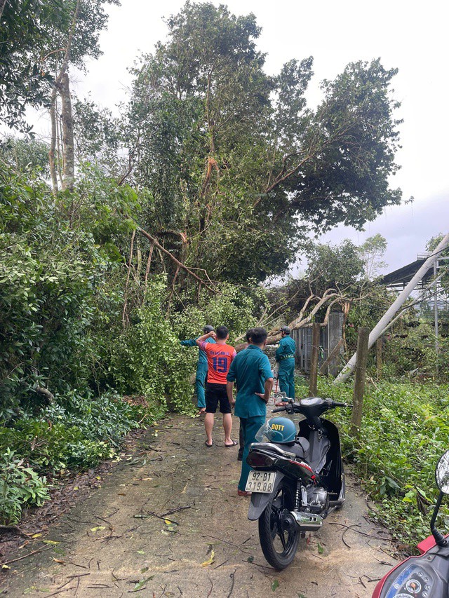 CLIP: Lốc xoáy kinh hoàng ở Đà Nẵng, 4 người bị thương - 15