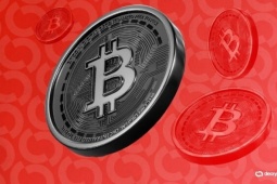 Bitcoin rơi thẳng đứng: Thị trường tiền số lao vào vùng nguy hiểm
