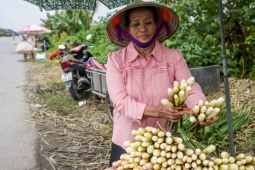 Thị trường - Tiêu dùng - Đặc sản chỉ có một tháng ở Ninh Bình, cho thu nhập gấp 3-4 lần trồng lúa