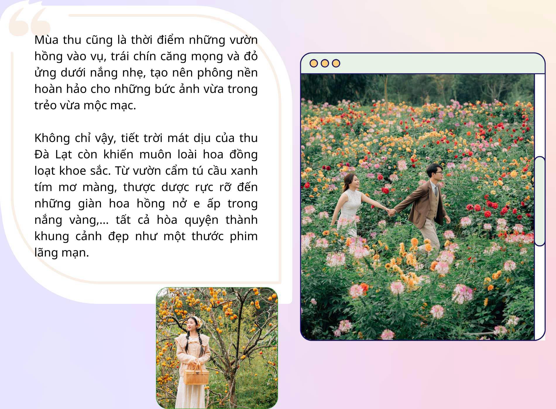 Những địa điểm không thể bỏ lỡ khi tới 