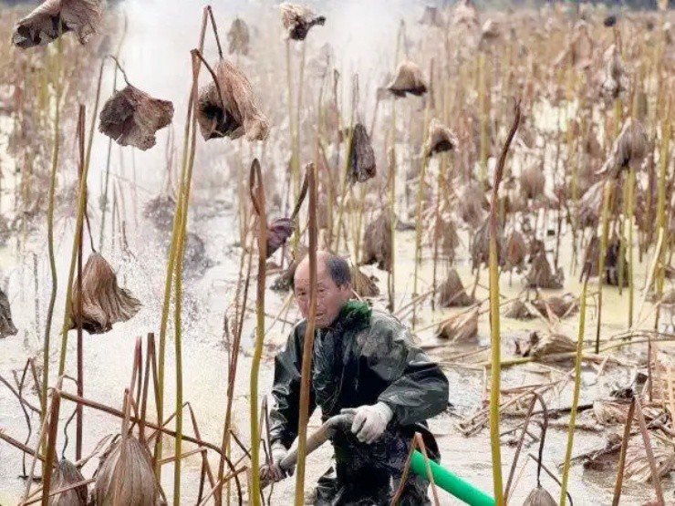 Đút túi vài triệu/ngày nhờ ngâm người trong ao bùn, mỗi năm chỉ làm 6 tháng - 3