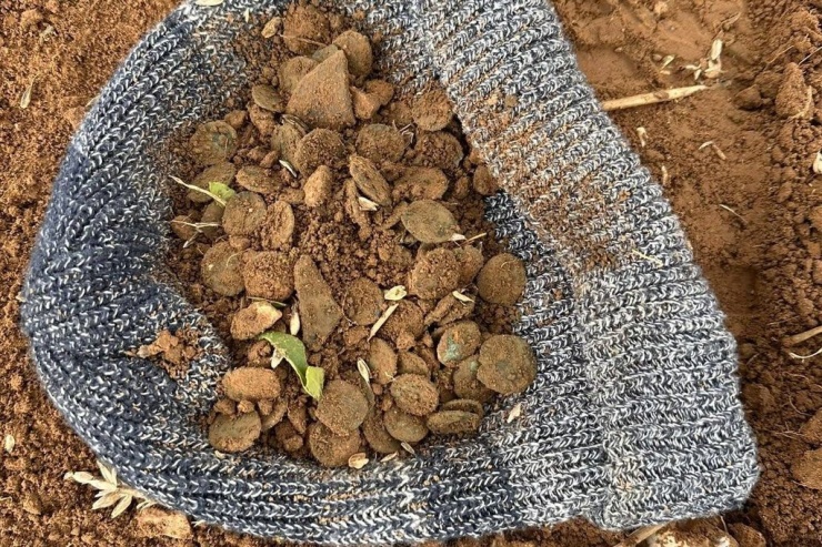 Những người dò kim loại đã tìm thấy khoảng 400 đồng xu trong cánh đồng của một người nông dân.