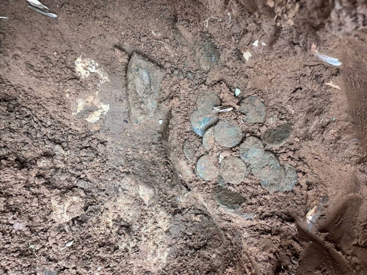 Những đồng tiền này có niên đại khoảng 1.800 năm.