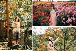 Những địa điểm không thể bỏ lỡ khi tới "thành phố ngàn hoa"