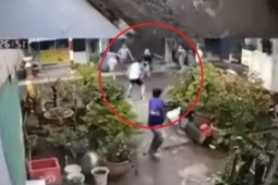 Vụ hỗn chiến làm 2 cậu cháu thương vong ở TPHCM: Bắt 5 nghi phạm