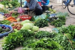 Gia đình thu nhập thấp xoay xở thế nào khi rau xanh là mặt hàng rẻ nhất cũng trở thành xa xỉ sau bão?