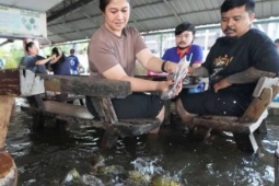 Vừa ăn vừa ngắm cá bơi quanh chân trong nhà hàng ngập nước