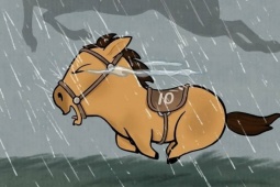 Bạn trẻ - Cuộc sống - Hiện tượng chú ngựa Mã Tiểu Dã gây sốt mạng xã hội